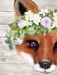 Peek a Boo Sweet Fox