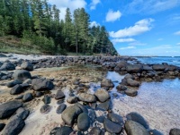 Norfolk Island