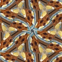 Kaleido