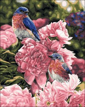 Paint By Numbers: Birds #4