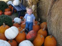 Little Caleb in the pumpkins