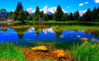 Amazing Landscapes (22)