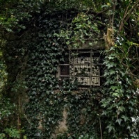 hidden home
