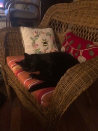 My Ború