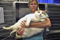New Mexico's 40 lb. Fat Cat
