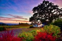 Country Sunrise - Oregon