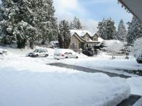 Snow in North Vancouver
