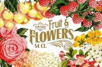 Vintage Fruits and Flowers