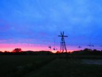 My front yard view