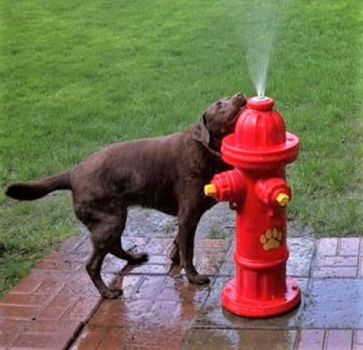 Fire Hydrant Garden Water Fountain