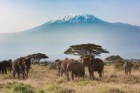 Kilimanjaro Tanzania