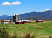 Tennessee, Mountains, Silos, Cows And Barns