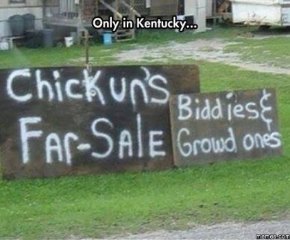 Only in Kentucky