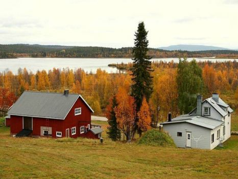 Homes in Scandinavia