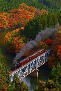 train