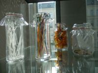 In the Glasskitchen ?