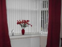 Poppies and curtains (smaller)