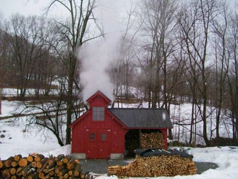 Theme: Farm Buildings - Sugar House, Ira, Vermont (Early Spring - Sugar Season)