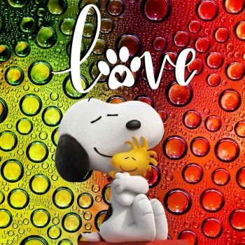 Solve Snoopy Hugs jigsaw puzzle online with 100 pieces