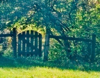 Gate to Where?