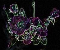 Purple Rose Abstract