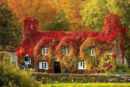 House Autumn