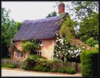 Pretty thatched cottage #2