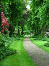 Around the Bend