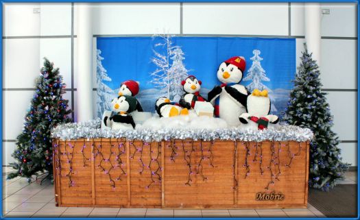 Penguin Christmas Display