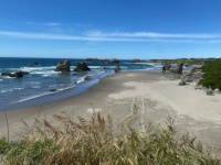 Oregon Coastline