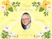 Happy Birthday dear Harvey (Bubble's hubby)