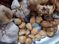 Clockwise from top: garlic, aromatic ginger, candlenut (similar to macadamia).