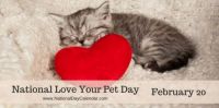 Today Is National Love Your Pet Day!!