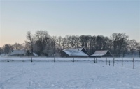 Winter, Febr. 2021, Winterswijk