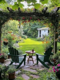 Back yard