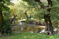 Pitshanger Park, Ealing