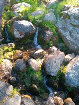Solve Rocky Stream jigsaw puzzle online with 252 pieces