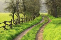 A Peaceful Place