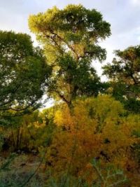 Beautiful colors of Autumn
