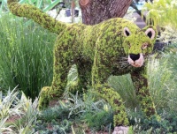 Leopard Topiary