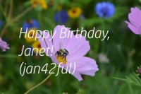 Happy Birthday Janet (jan42ful)
