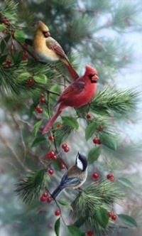 Winter Birds and Berries