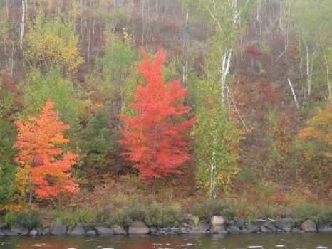 autumn in northern Ontario
