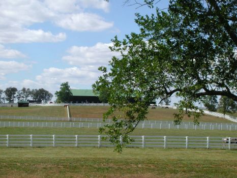 Kentucky Horse Barn