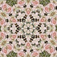 rose kaleidoscope 2