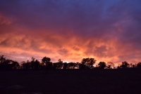 Sunrise