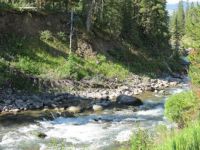 Yellowstone Nation Park