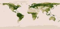 map-of-vegetation-on-earth