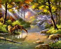 Two Young Thirsty Deer