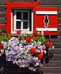 Red window and flower box